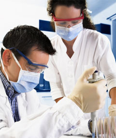 Working in the laboratory